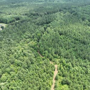 Photo #10 of SOLD property in Off Powells Mill Road, Warrenton, NC 15.0 acres