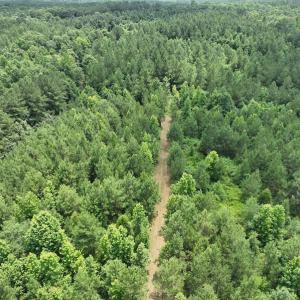 Photo #11 of SOLD property in Off Powells Mill Road, Warrenton, NC 15.0 acres