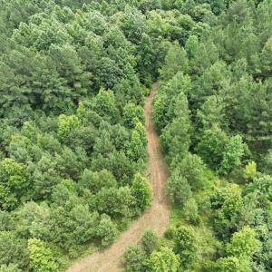 Photo #12 of SOLD property in Off Powells Mill Road, Warrenton, NC 15.0 acres