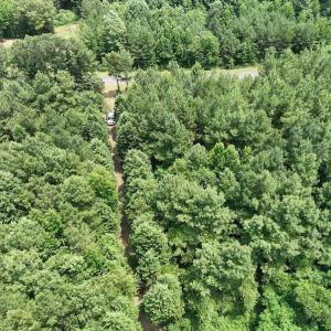 Photo #13 of SOLD property in Off Powells Mill Road, Warrenton, NC 15.0 acres
