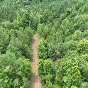 Photo #18 of SOLD property in Off Powells Mill Road, Warrenton, NC 15.0 acres