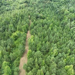 Photo #19 of SOLD property in Off Powells Mill Road, Warrenton, NC 15.0 acres