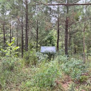 Photo #22 of SOLD property in Off Powells Mill Road, Warrenton, NC 15.0 acres