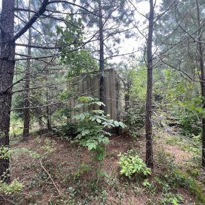Photo #23 of SOLD property in Off Powells Mill Road, Warrenton, NC 15.0 acres