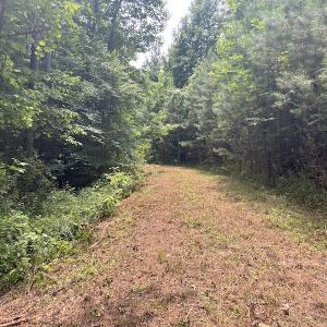 Photo #25 of SOLD property in Off Powells Mill Road, Warrenton, NC 15.0 acres