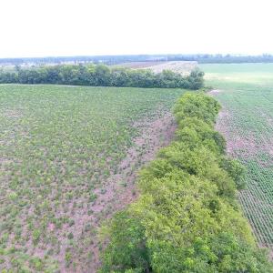 Photo #3 of SOLD property in Off East Main Street Extension, Bennettsville, SC 2.3 acres