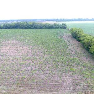Photo #4 of SOLD property in Off East Main Street Extension, Bennettsville, SC 2.3 acres