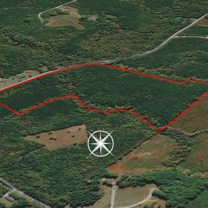 Photo #10 of SOLD property in Off Mill Creek Road, Roxboro, NC 49.0 acres