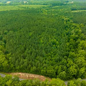 Photo #13 of SOLD property in Off Mill Creek Road, Roxboro, NC 49.0 acres