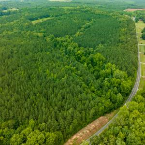 Photo #14 of SOLD property in Off Mill Creek Road, Roxboro, NC 49.0 acres