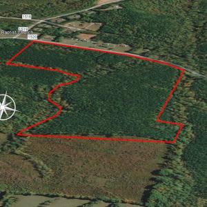 Photo #15 of SOLD property in Off Mill Creek Road, Roxboro, NC 49.0 acres