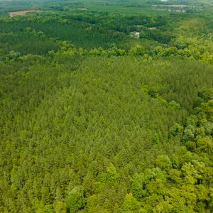 Photo #16 of SOLD property in Off Mill Creek Road, Roxboro, NC 49.0 acres