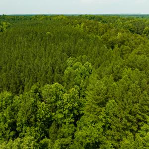 Photo #19 of SOLD property in Off Mill Creek Road, Roxboro, NC 49.0 acres