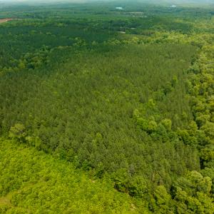 Photo #21 of SOLD property in Off Mill Creek Road, Roxboro, NC 49.0 acres