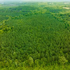 Photo #23 of SOLD property in Off Mill Creek Road, Roxboro, NC 49.0 acres