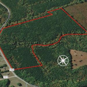 Photo #25 of SOLD property in Off Mill Creek Road, Roxboro, NC 49.0 acres