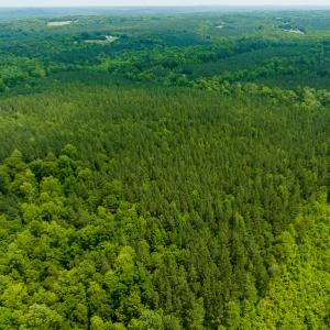 Photo #27 of SOLD property in Off Mill Creek Road, Roxboro, NC 49.0 acres