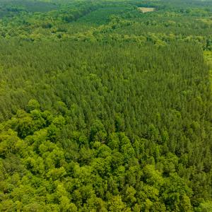 Photo #30 of SOLD property in Off Mill Creek Road, Roxboro, NC 49.0 acres