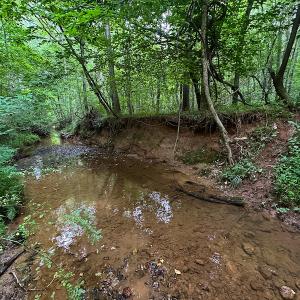 Photo #31 of SOLD property in Off Mill Creek Road, Roxboro, NC 49.0 acres