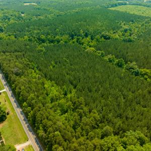 Photo #32 of SOLD property in Off Mill Creek Road, Roxboro, NC 49.0 acres