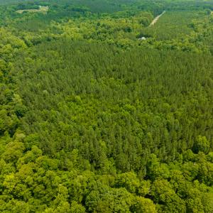 Photo #34 of SOLD property in Off Mill Creek Road, Roxboro, NC 49.0 acres
