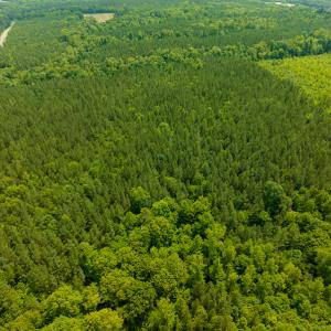 Photo #36 of SOLD property in Off Mill Creek Road, Roxboro, NC 49.0 acres