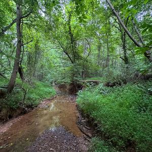 Photo #39 of SOLD property in Off Mill Creek Road, Roxboro, NC 49.0 acres