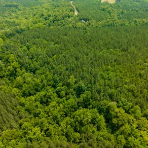 Photo #40 of SOLD property in Off Mill Creek Road, Roxboro, NC 49.0 acres