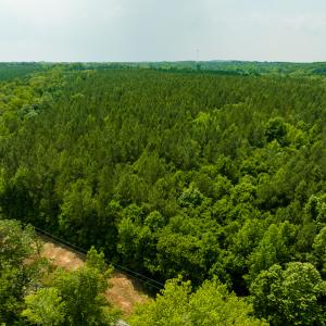 Photo #41 of SOLD property in Off Mill Creek Road, Roxboro, NC 49.0 acres