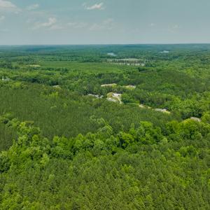 Photo #42 of SOLD property in Off Mill Creek Road, Roxboro, NC 49.0 acres