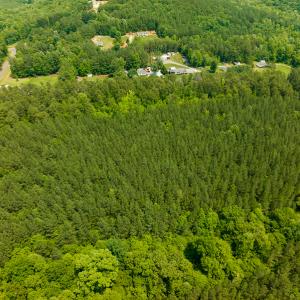 Photo #43 of SOLD property in Off Mill Creek Road, Roxboro, NC 49.0 acres