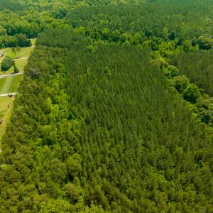 Photo #44 of SOLD property in Off Mill Creek Road, Roxboro, NC 49.0 acres