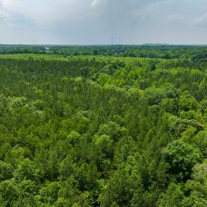 Photo #46 of SOLD property in Off Mill Creek Road, Roxboro, NC 49.0 acres
