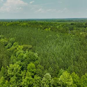 Photo #49 of SOLD property in Off Mill Creek Road, Roxboro, NC 49.0 acres