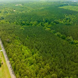 Photo #50 of SOLD property in Off Mill Creek Road, Roxboro, NC 49.0 acres