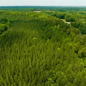 Photo #51 of SOLD property in Off Mill Creek Road, Roxboro, NC 49.0 acres