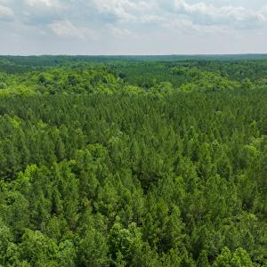 Photo #52 of SOLD property in Off Mill Creek Road, Roxboro, NC 49.0 acres