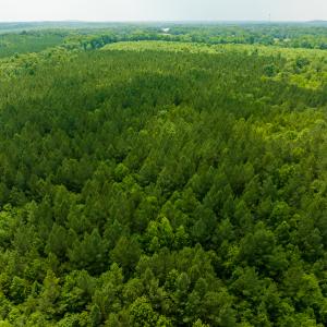 Photo #54 of SOLD property in Off Mill Creek Road, Roxboro, NC 49.0 acres