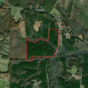 Photo #55 of SOLD property in Off Mill Creek Road, Roxboro, NC 49.0 acres