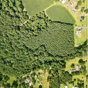 Photo #11 of SOLD property in Off Hewitt Rd, Richlands, NC 13.0 acres