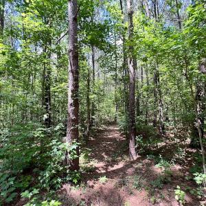 Photo #14 of SOLD property in Off Hewitt Rd, Richlands, NC 13.0 acres