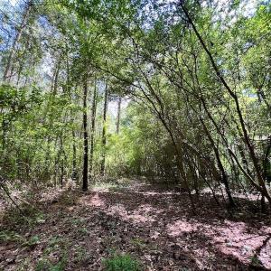 Photo #19 of SOLD property in Off Hewitt Rd, Richlands, NC 13.0 acres