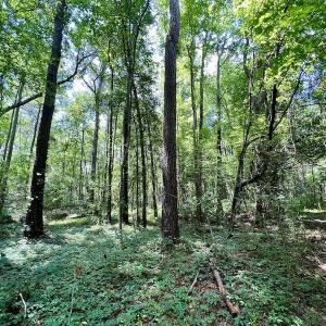 Photo #23 of SOLD property in Off Hewitt Rd, Richlands, NC 13.0 acres
