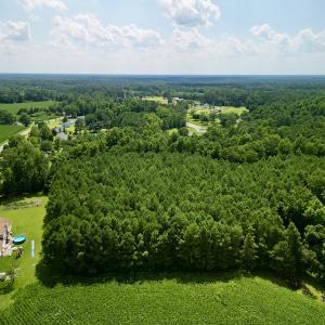 Photo #4 of SOLD property in Off Hewitt Rd, Richlands, NC 13.0 acres