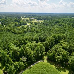 Photo #5 of SOLD property in Off Hewitt Rd, Richlands, NC 13.0 acres