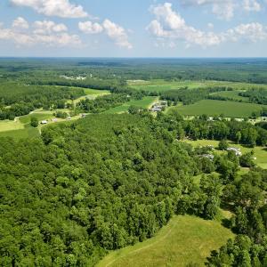 Photo #7 of SOLD property in Off Hewitt Rd, Richlands, NC 13.0 acres