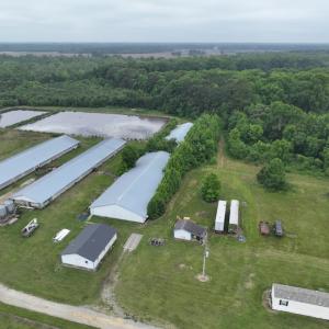 Photo #2 of 1229 NC Highway 305, Aulander, NC 120.0 acres