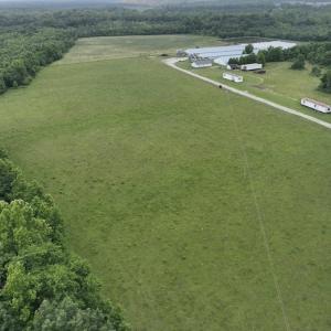 Photo #3 of 1229 NC Highway 305, Aulander, NC 120.0 acres