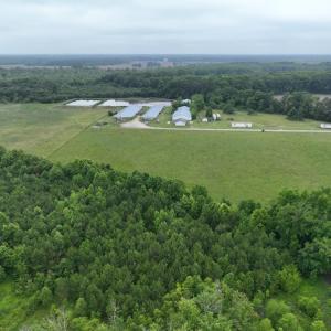 Photo #4 of 1229 NC Highway 305, Aulander, NC 120.0 acres