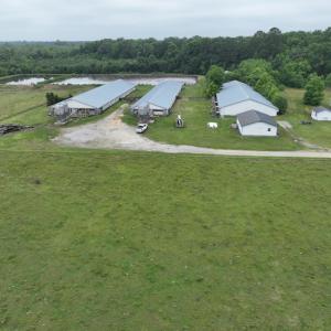 Photo #9 of 1229 NC Highway 305, Aulander, NC 120.0 acres